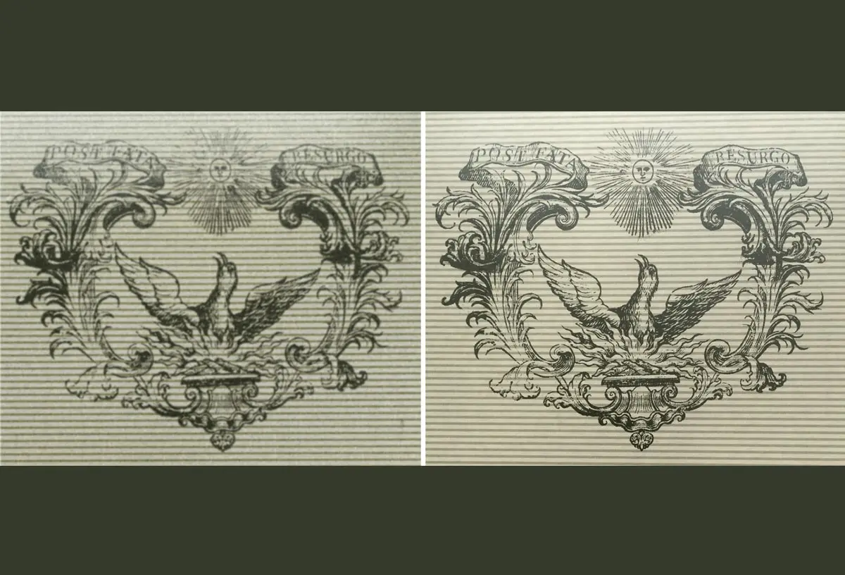 fregi-laterali scatole cartone vino personalizzate