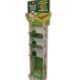 espositori cartone da terra veggy good